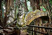 Sacred Monkey Sanctuary, Bali, Indonezja