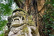 Sacred Monkey Sanctuary, Bali, Indonezja