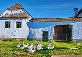 Viscri, Rumunia